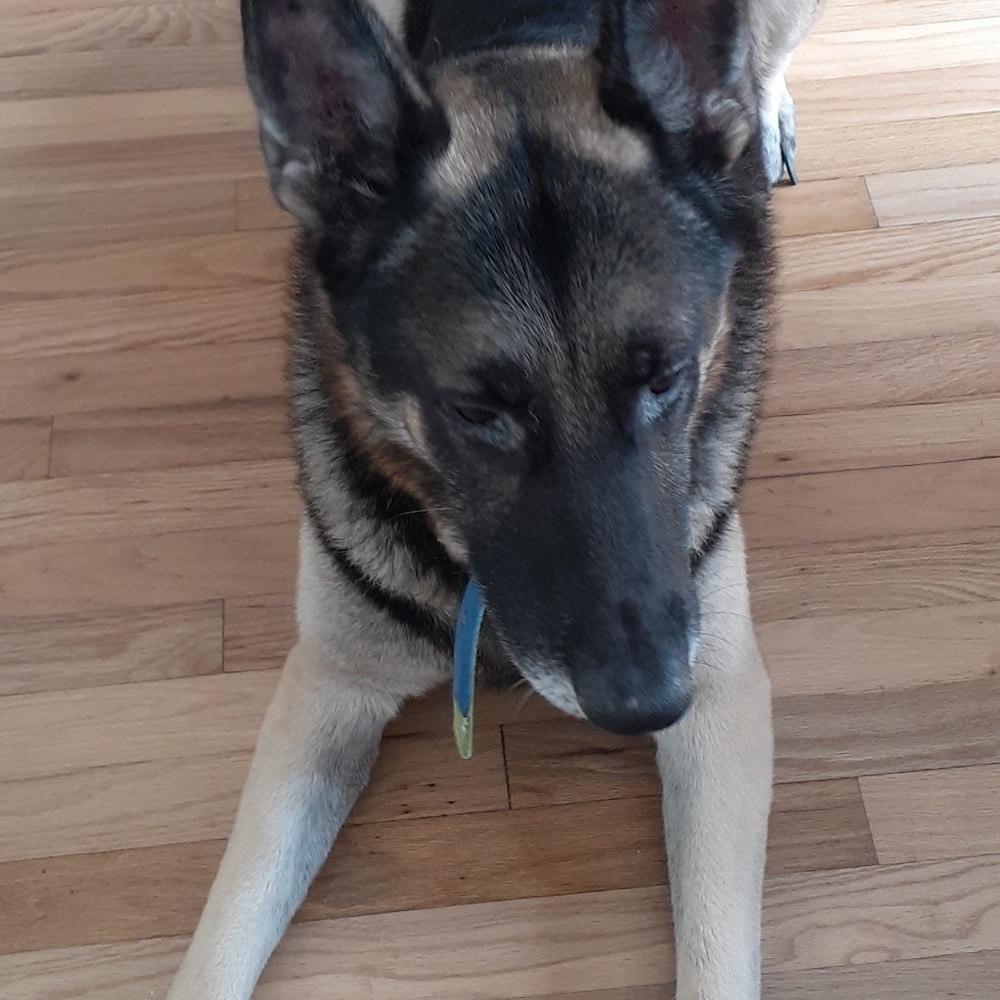 Meet your Posher, Dustin